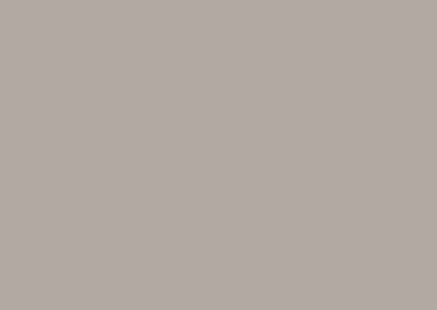 Colorbond Dune (Matte)